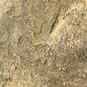 Peinture acrylique peinte à la main « Arbre de la contemplation » – décoration murale à motif d'arbre