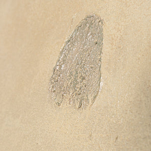 Impressions sur toile modernes aux lignes organiques dans le cadre « Sandweg »