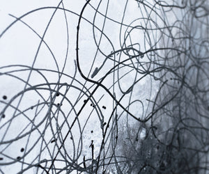 Gesamtansicht des Gemäldes „Fröhliches Schaf“