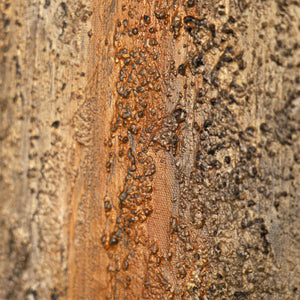 Detailansicht Acrylkunst gold struktur modern